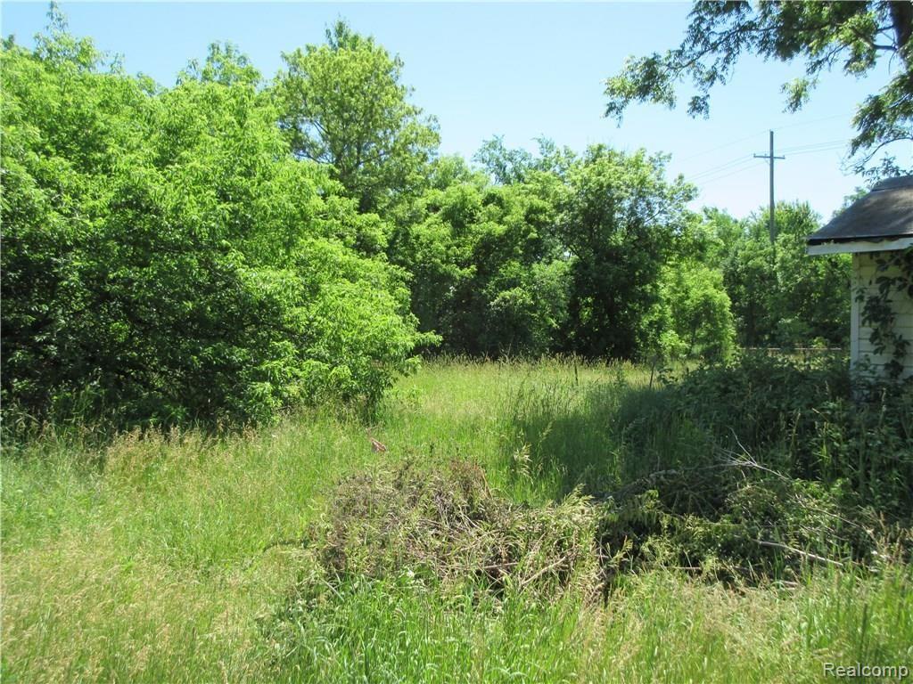 22422 Napier Road Novi, MI 48374 - Photo 20 of 29 IMG_5540.JPG