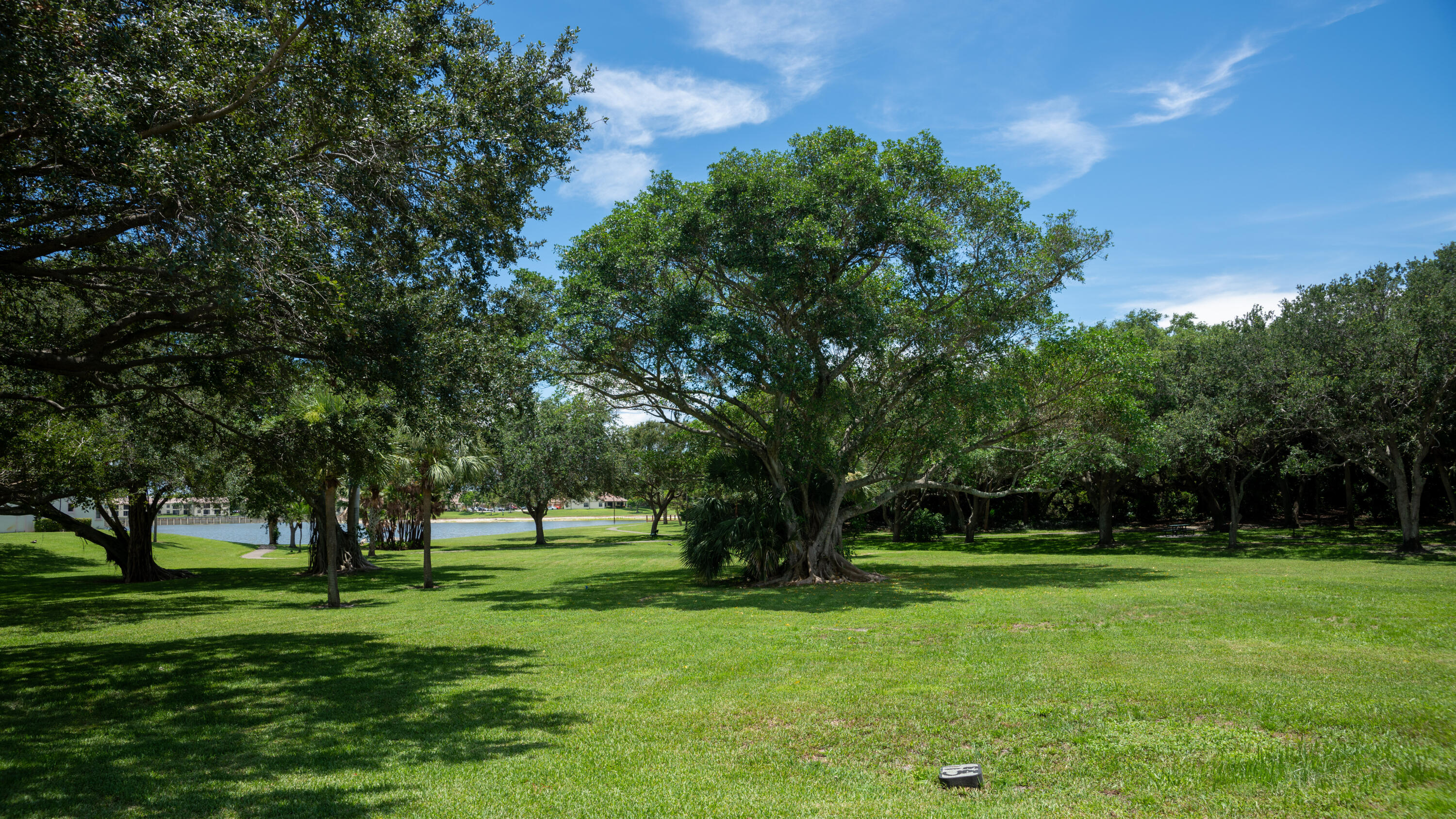 3300 Jaywood Terrace, Unit 1150 Boca Raton, FL 33431 - Photo 7 of 19 Wide open