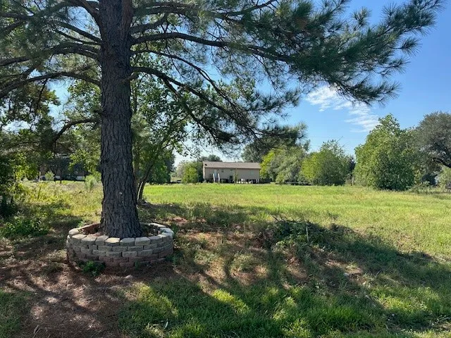 a view of a garden with large trees