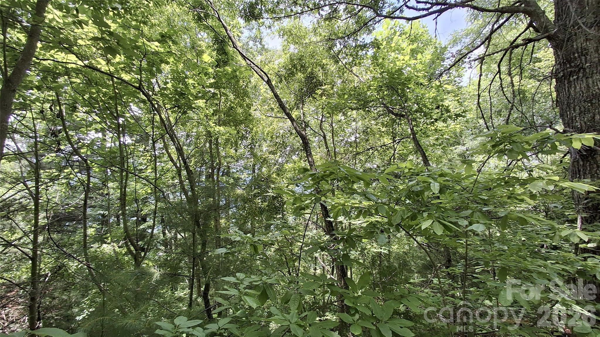 112 Kako Ridge, Unit 59 Sylva, NC 28779 - Photo 14 of 18