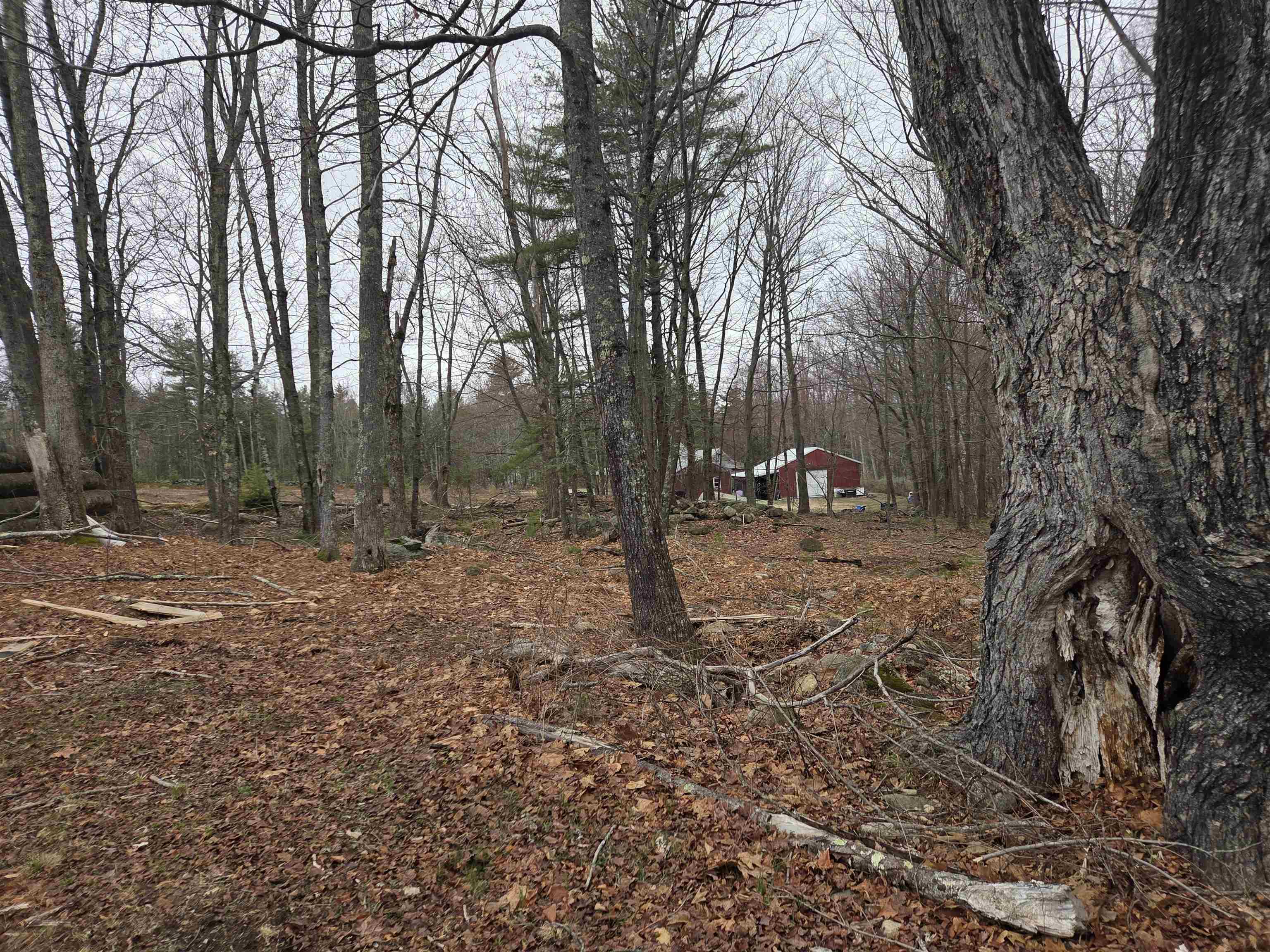 164 Mason Road Milton, NH 03851 - Photo 46 of 55