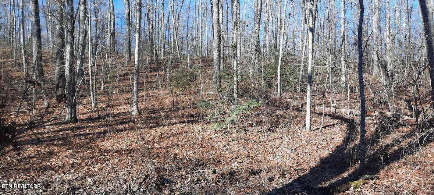 11.49-ac Stanley Hood Road Crossville, TN 38571 - Photo 11 of 14 20240418173635196410000000-o