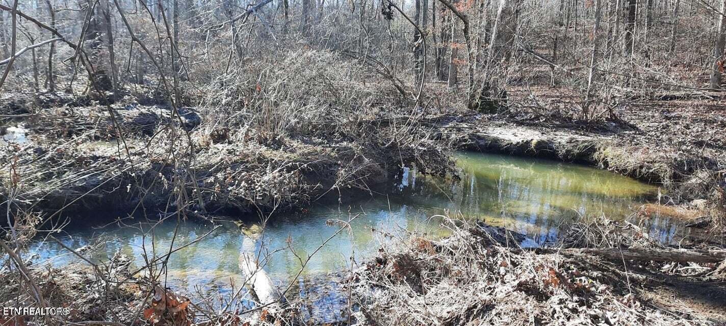 11.49-ac Stanley Hood Road Crossville, TN 38571 - Photo 13 of 14 20240418173629215334000000-o