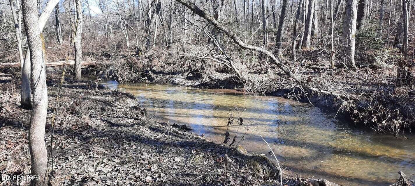 11.49-ac Stanley Hood Road Crossville, TN 38571 - Photo 14 of 14 20240418173626853943000000-o