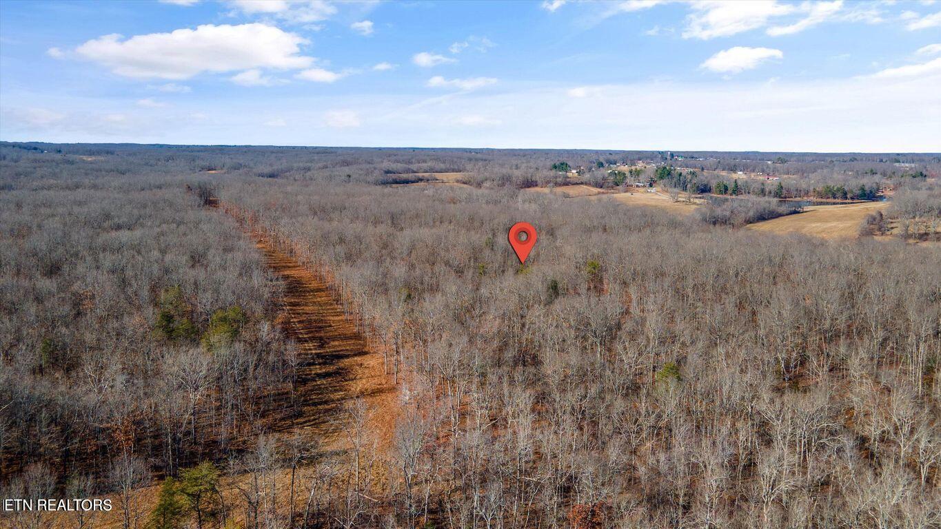 11.49-ac Stanley Hood Road Crossville, TN 38571 - Photo 6 of 14 Stanley Hood Rd 6