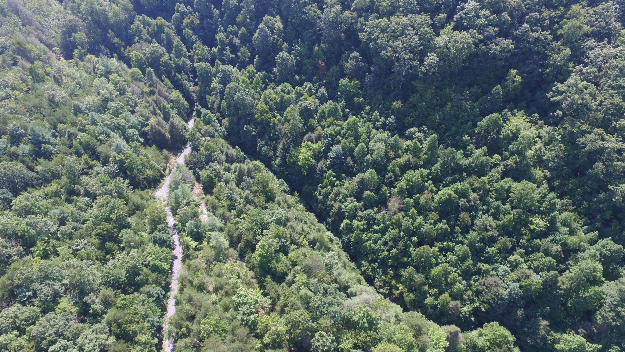 442 Back Valley Road Dayton, TN 37321 - Photo 11 of 21