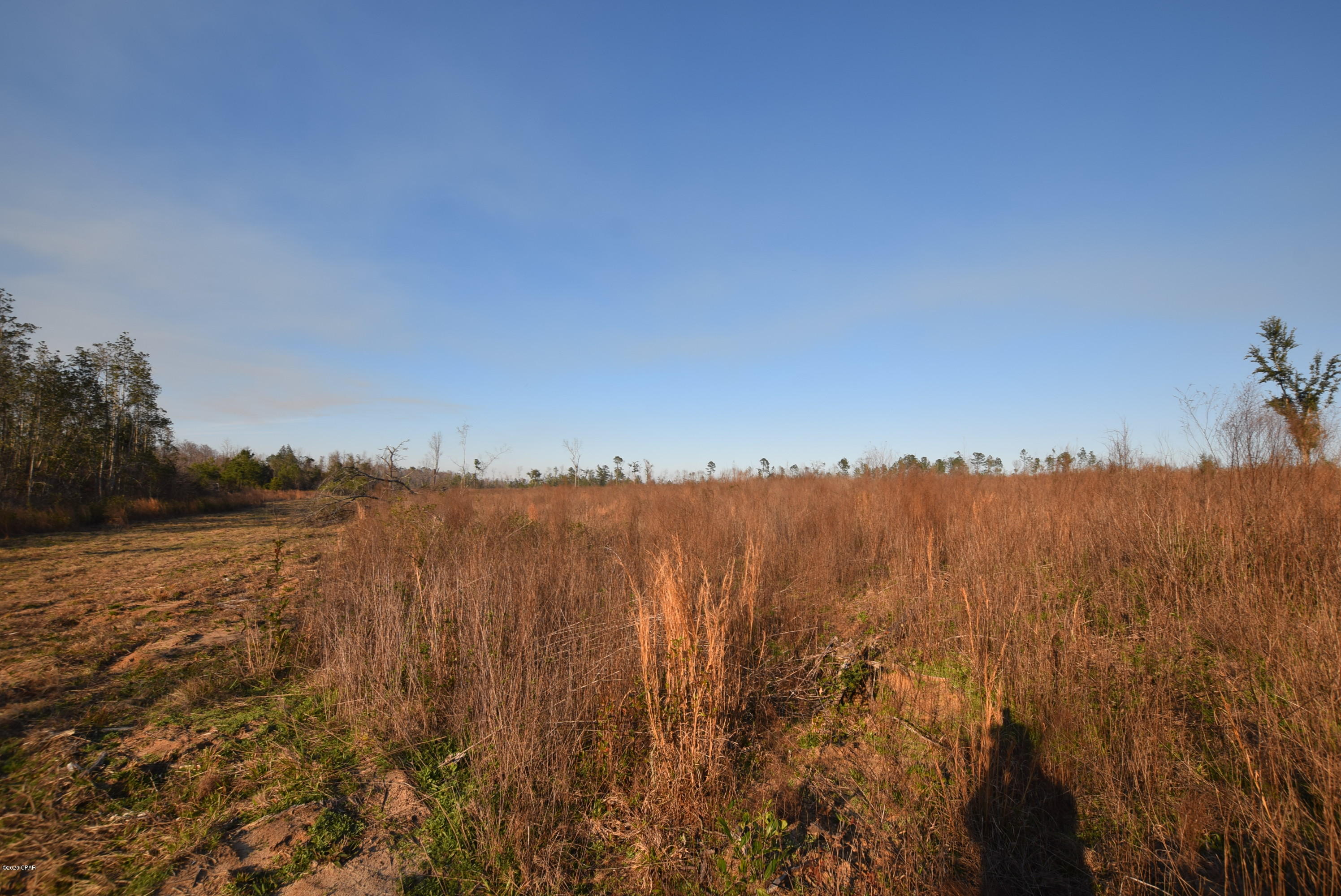 1416 Mill Road Alford, FL 32420 - Photo 40 of 60