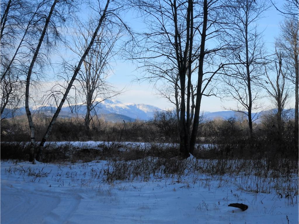 73 Transvale Road Conway, NH 03860 - Photo 3 of 14
