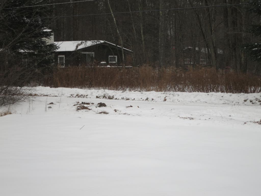 73 Transvale Road Conway, NH 03860 - Photo 9 of 14
