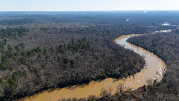 a view of a backyard with large trees