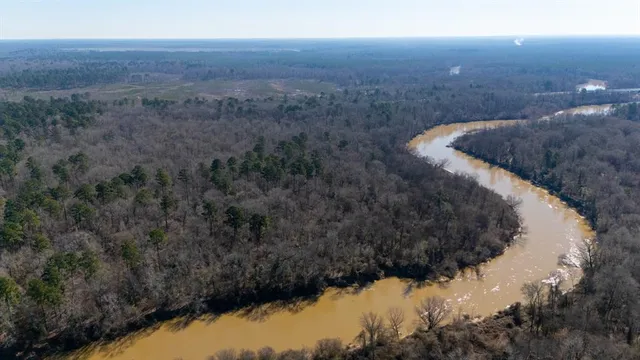 a view of a backyard with large trees