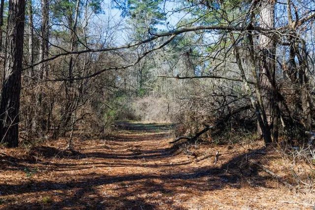 a view of outdoor space