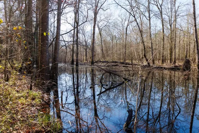 a view of outdoor space with trees