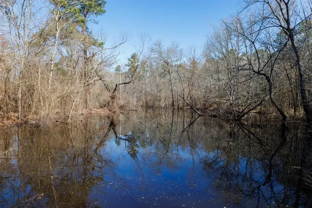 a view of large trees with wooden fence