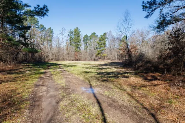 a view of yard with green space