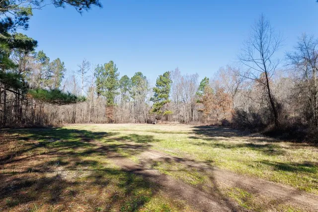 a view of outdoor space with trees