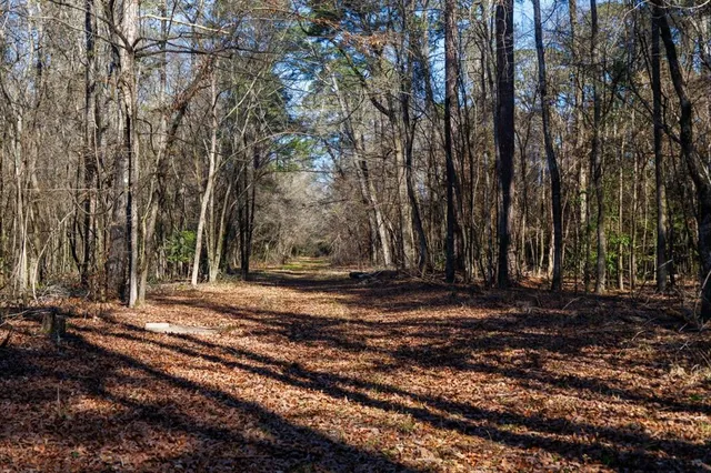 a backyard of a house with lots of green space and fountain
