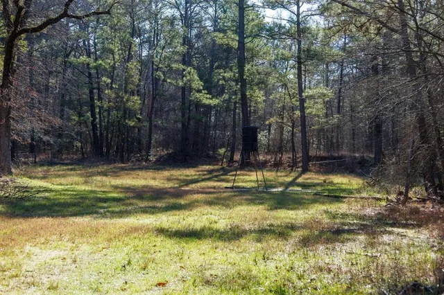 a view of backyard space