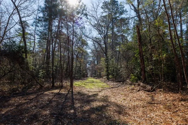 a view of outdoor space with trees