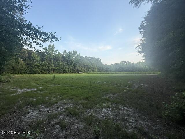1005 Regal Road Goldsboro, NC 27534 - Photo 2 of 5