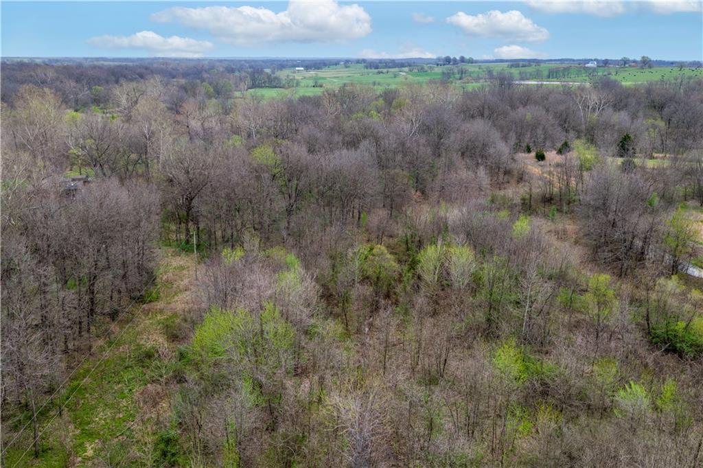 795 Northeast 101st Road Warrensburg, MO 64093 - Photo 9 of 10