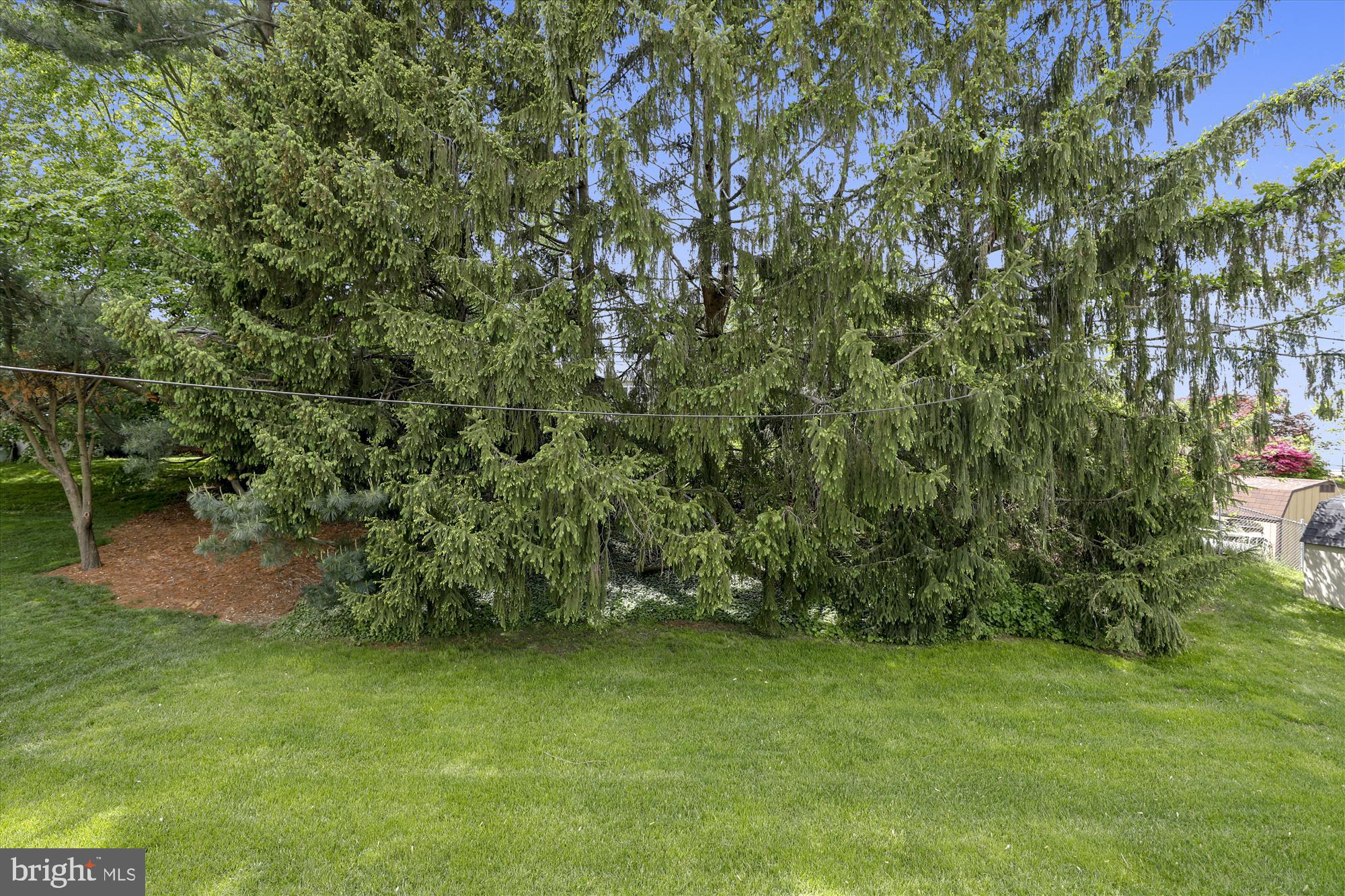 1412 Harberson Road Baltimore, MD 21228 - Photo 28 of 28 The yard goes back another 12 feet into the trees