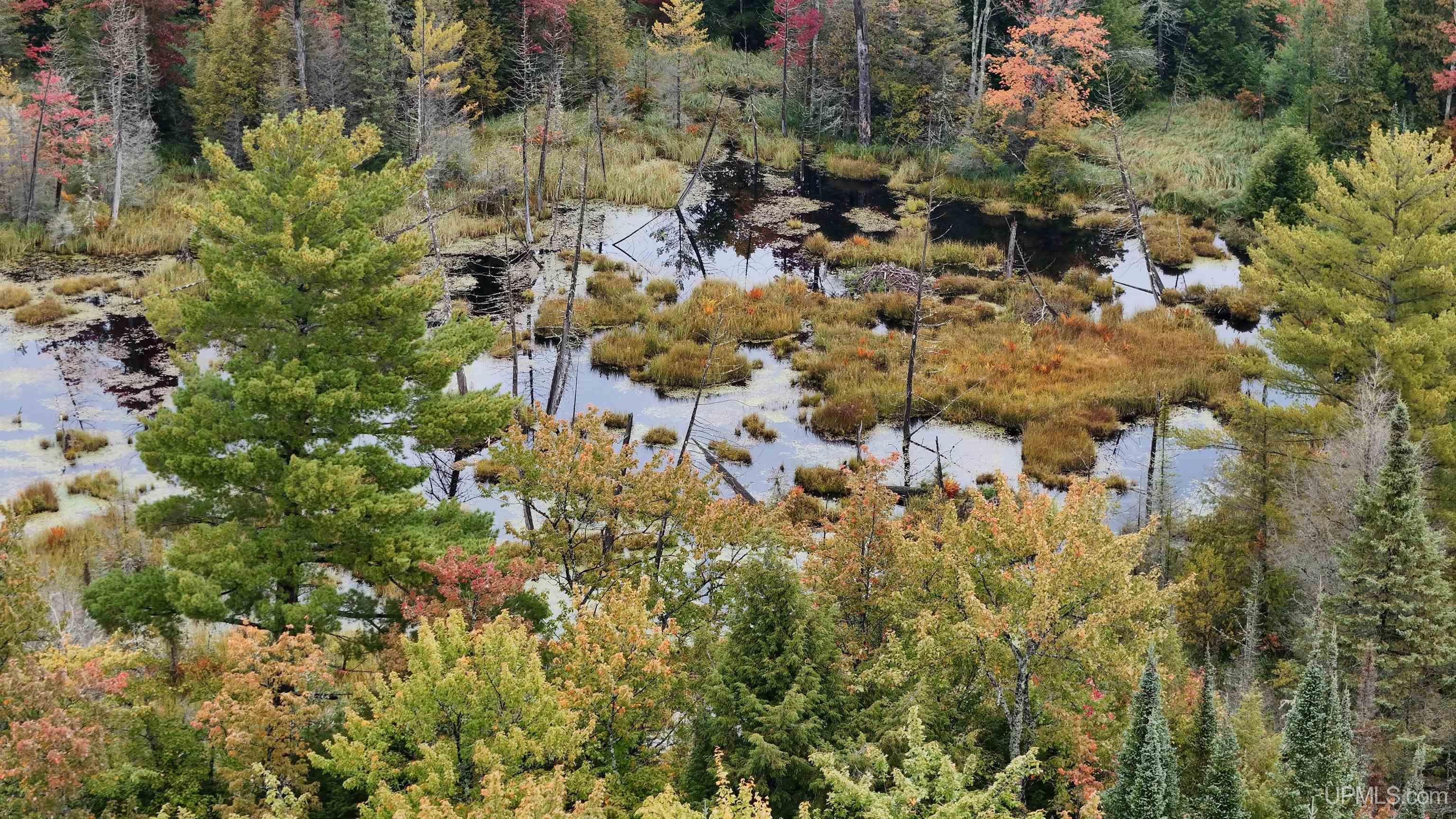 Tbd240 South Firesteel Road Ontonagon, MI 49953 - Photo 9 of 16