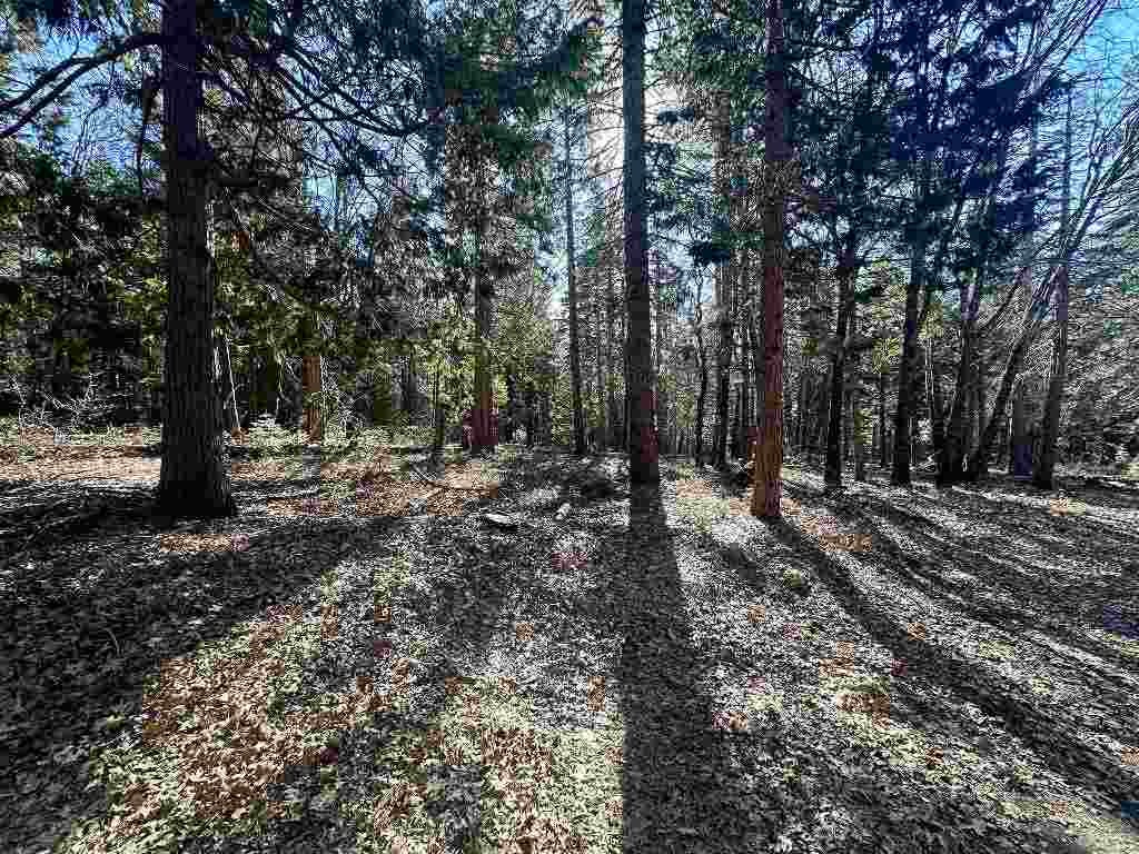 3 Deetz Road Rd Mount Mount Shasta, CA 96067 - Photo 5 of 37 Gallery Image 5