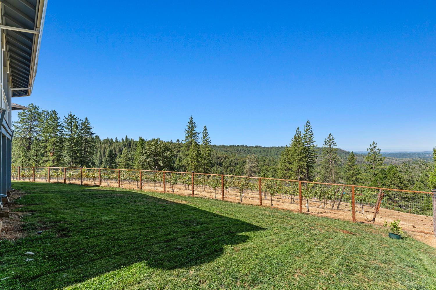 18591 Ponderosa Hills Road Volcano, CA 95689 - Photo 38 of 77