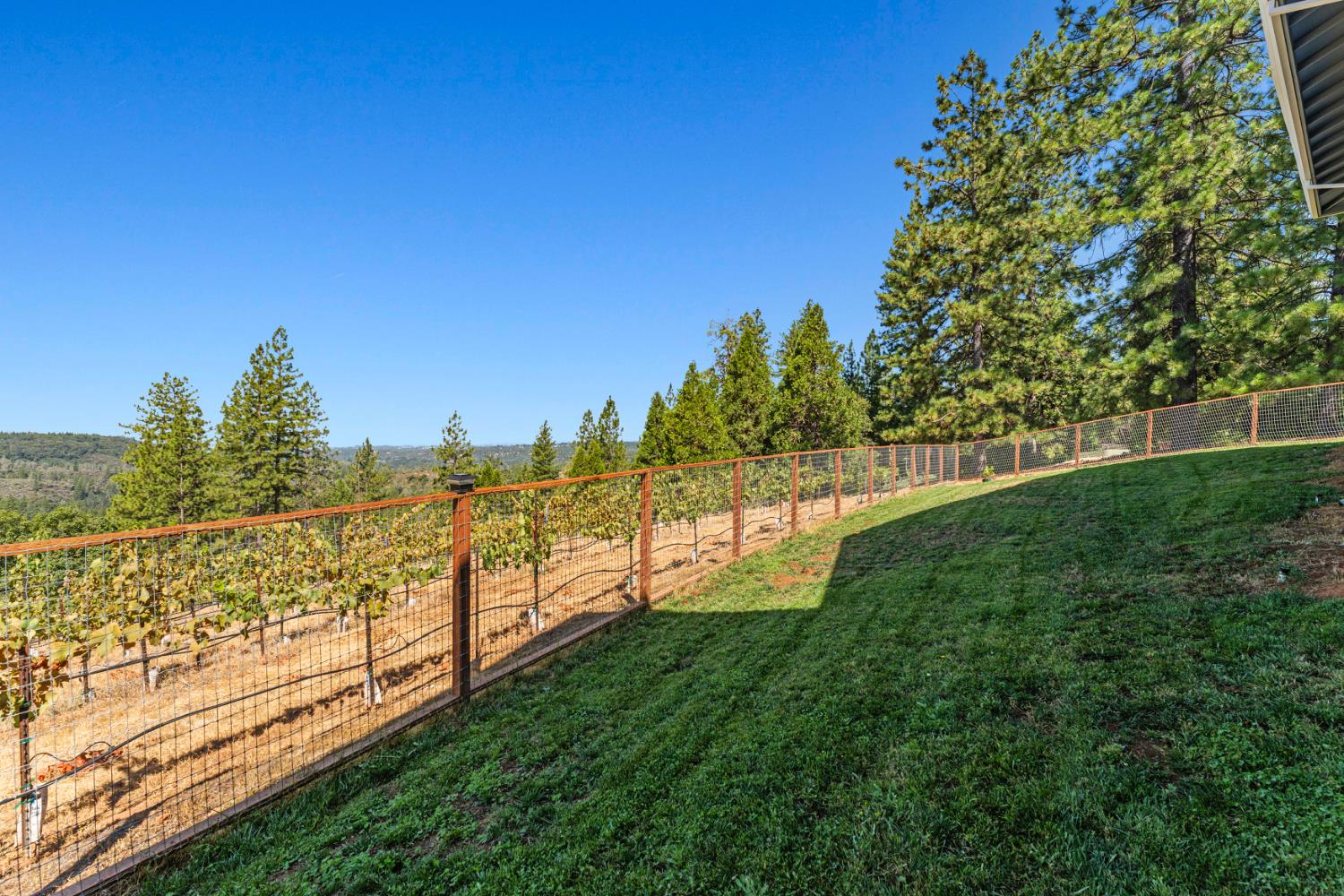 18591 Ponderosa Hills Road Volcano, CA 95689 - Photo 40 of 77