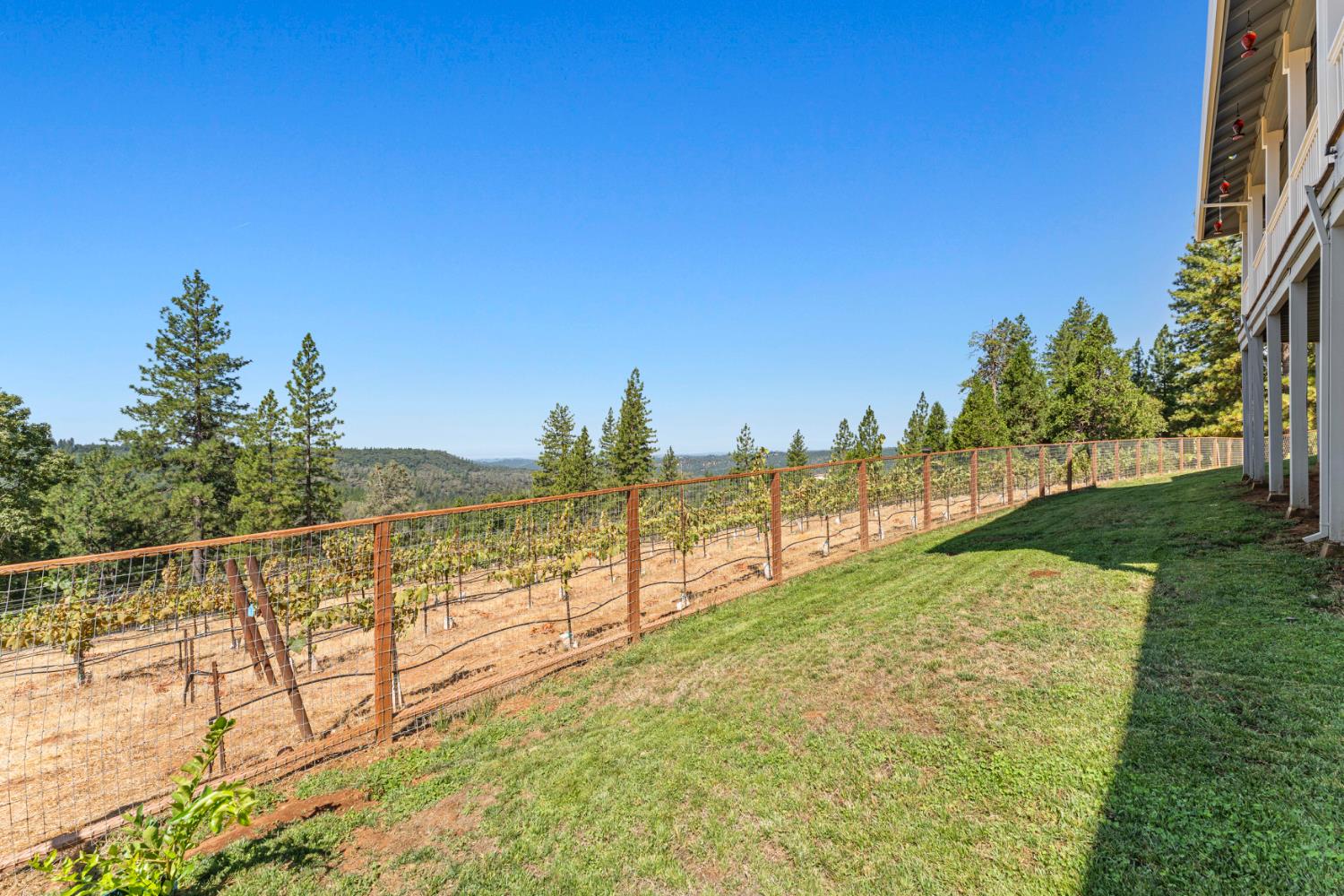 18591 Ponderosa Hills Road Volcano, CA 95689 - Photo 41 of 77