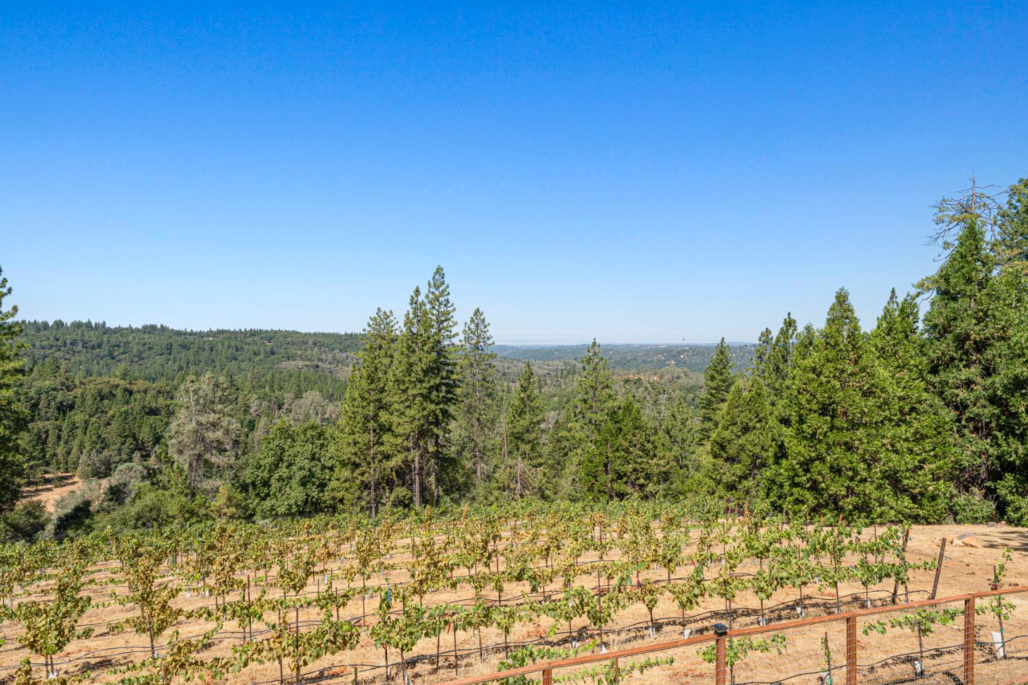 18591 Ponderosa Hills Road Volcano, CA 95689 - Photo 45 of 77