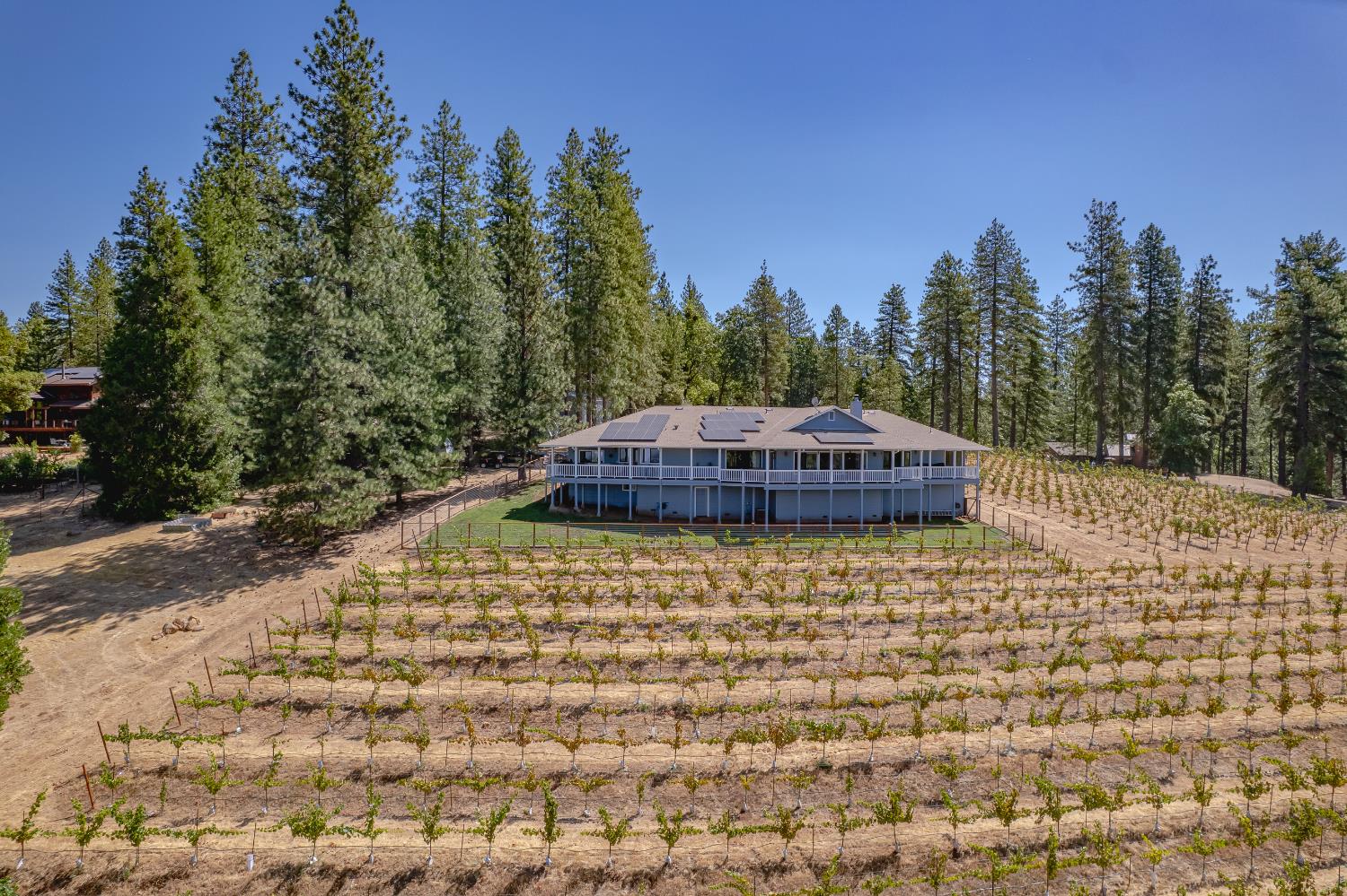 18591 Ponderosa Hills Road Volcano, CA 95689 - Photo 5 of 77
