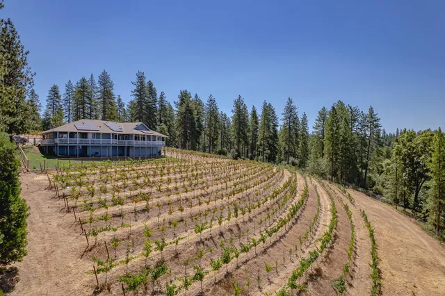 $875,000 | 18591 Ponderosa Hills Road, Volcano, CA 95689