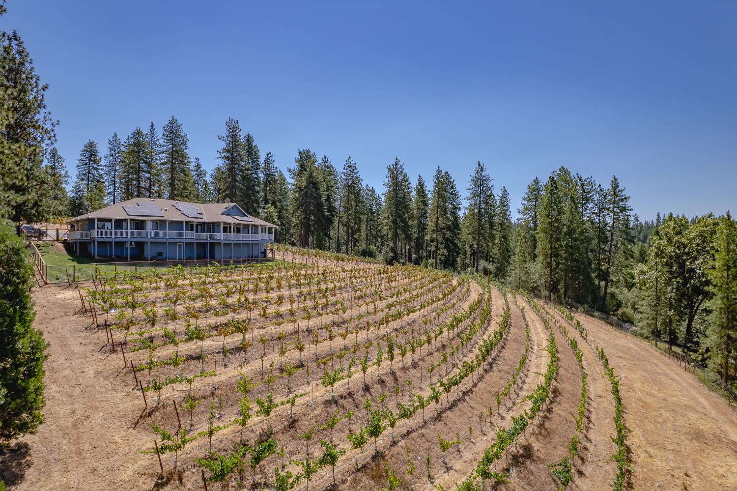 18591 Ponderosa Hills Road Volcano, CA 95689 - Photo 5 of 77