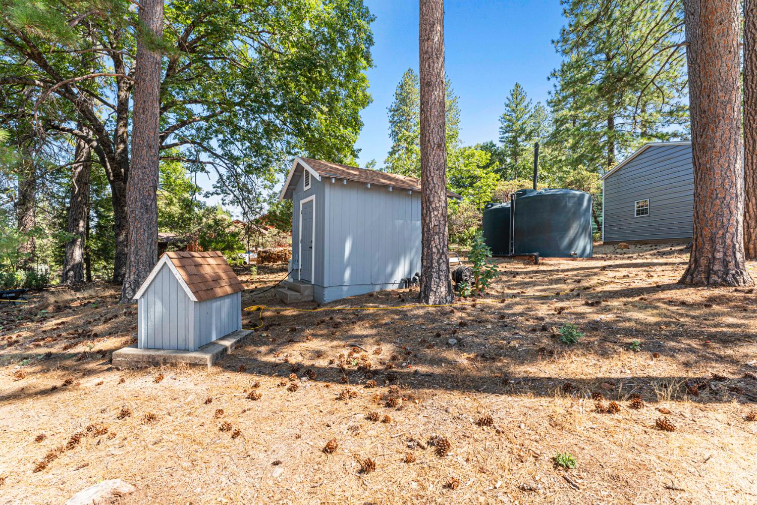 18591 Ponderosa Hills Road Volcano, CA 95689 - Photo 54 of 77