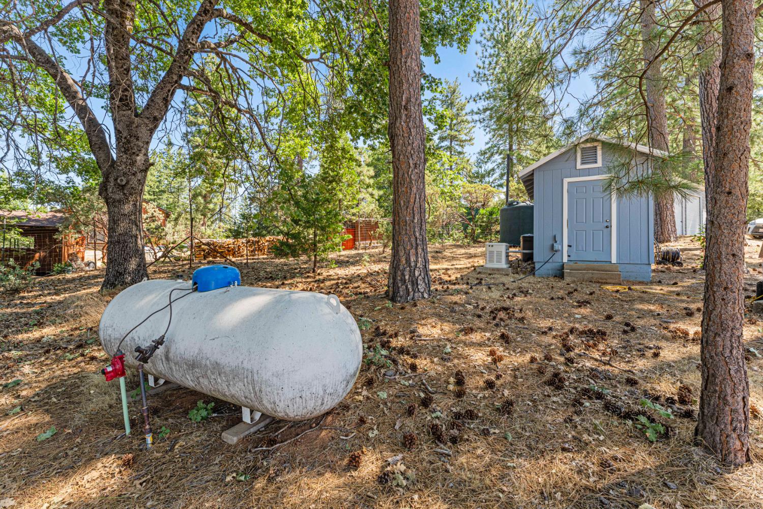 18591 Ponderosa Hills Road Volcano, CA 95689 - Photo 55 of 77