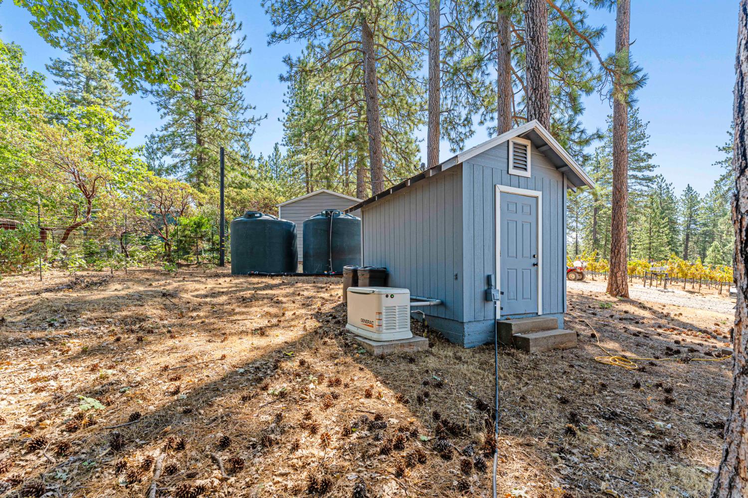 18591 Ponderosa Hills Road Volcano, CA 95689 - Photo 56 of 77