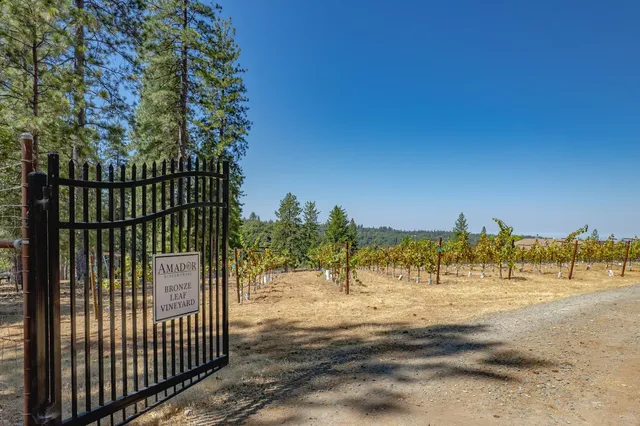 $875,000 | 18591 Ponderosa Hills Road, Volcano, CA 95689