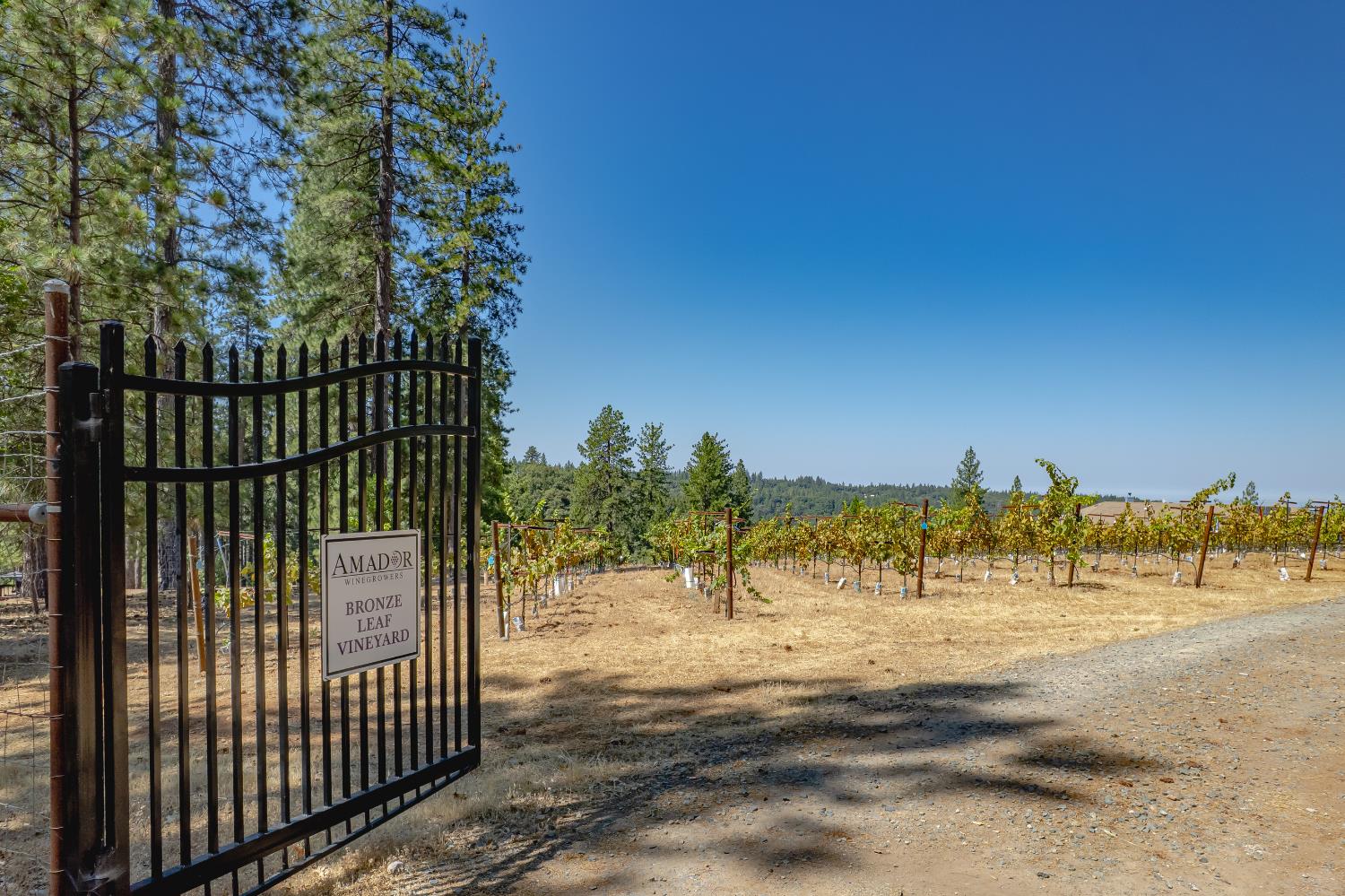 18591 Ponderosa Hills Road Volcano, CA 95689 - Photo 60 of 77