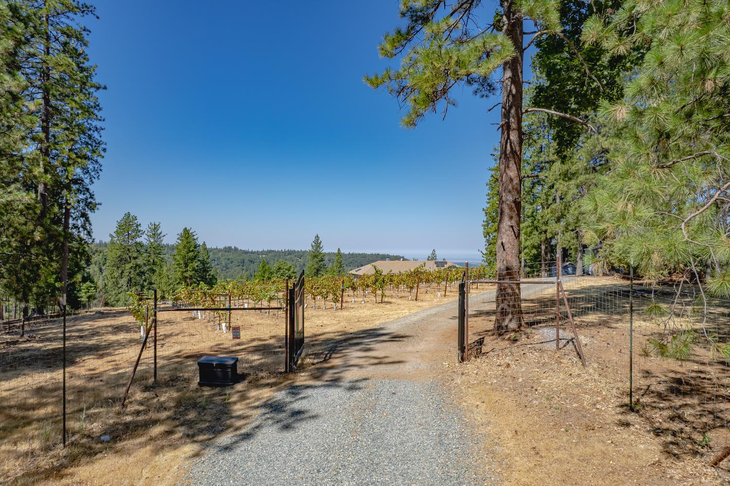 18591 Ponderosa Hills Road Volcano, CA 95689 - Photo 60 of 77