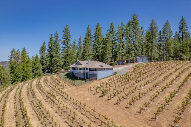 $875,000 | 18591 Ponderosa Hills Road, Volcano, CA 95689