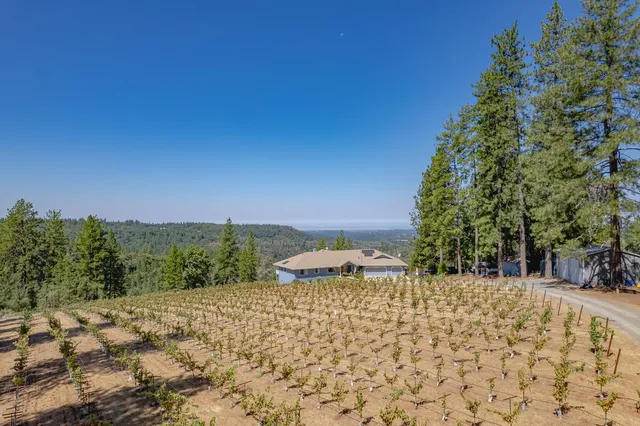 $875,000 | 18591 Ponderosa Hills Road, Volcano, CA 95689