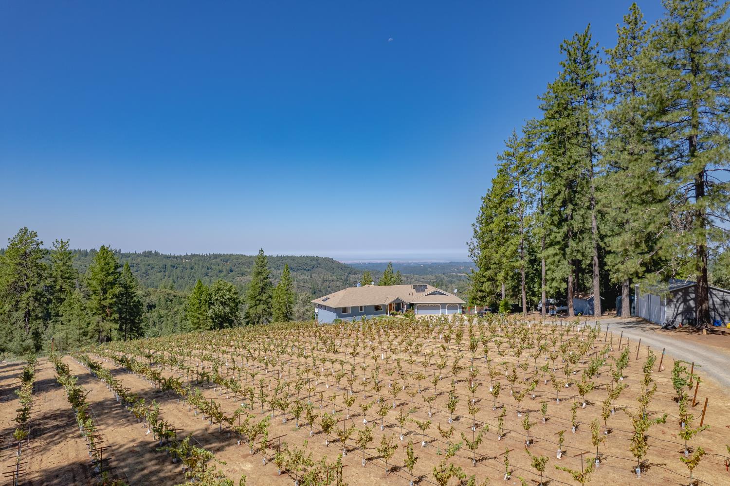 18591 Ponderosa Hills Road Volcano, CA 95689 - Photo 61 of 77