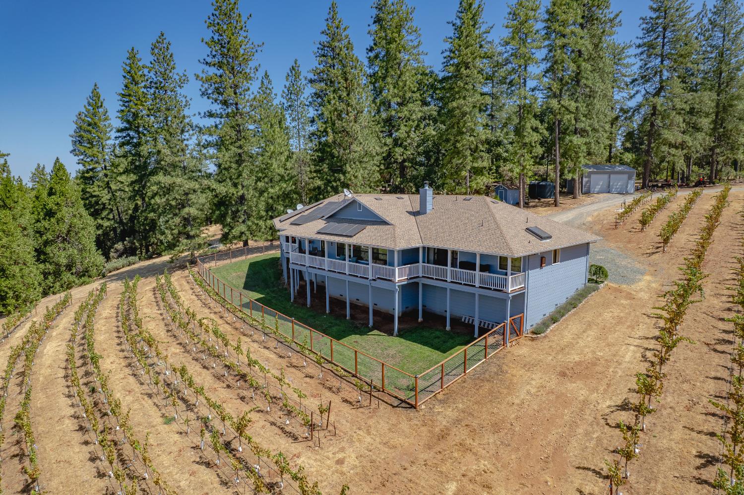 18591 Ponderosa Hills Road Volcano, CA 95689 - Photo 64 of 77