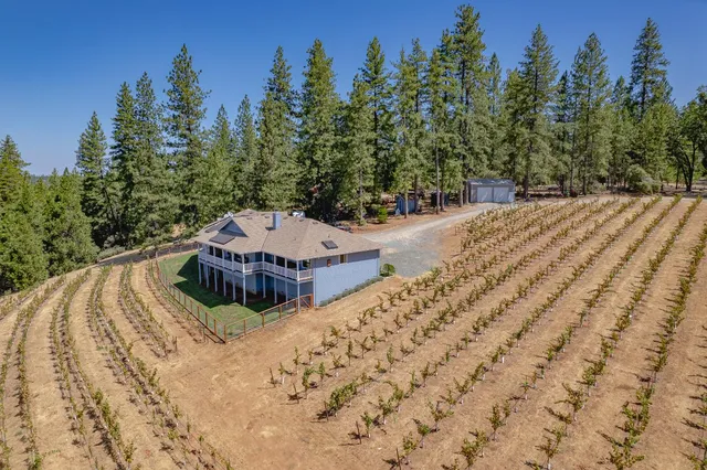 $875,000 | 18591 Ponderosa Hills Road, Volcano, CA 95689