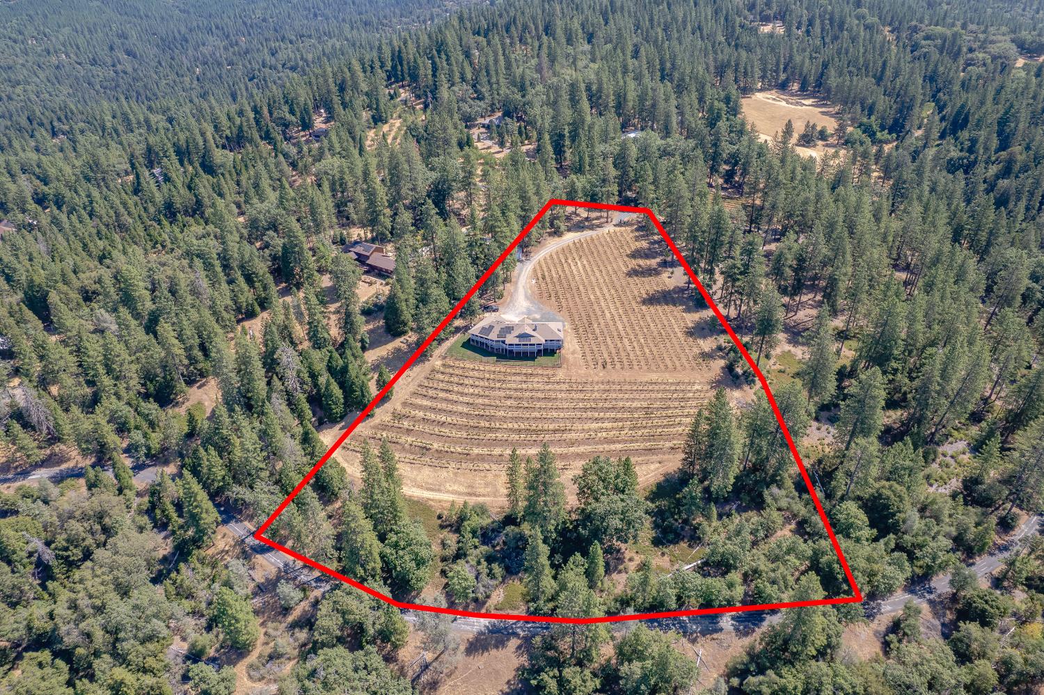 18591 Ponderosa Hills Road Volcano, CA 95689 - Photo 67 of 77