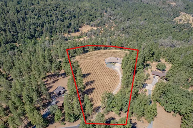 $875,000 | 18591 Ponderosa Hills Road, Volcano, CA 95689