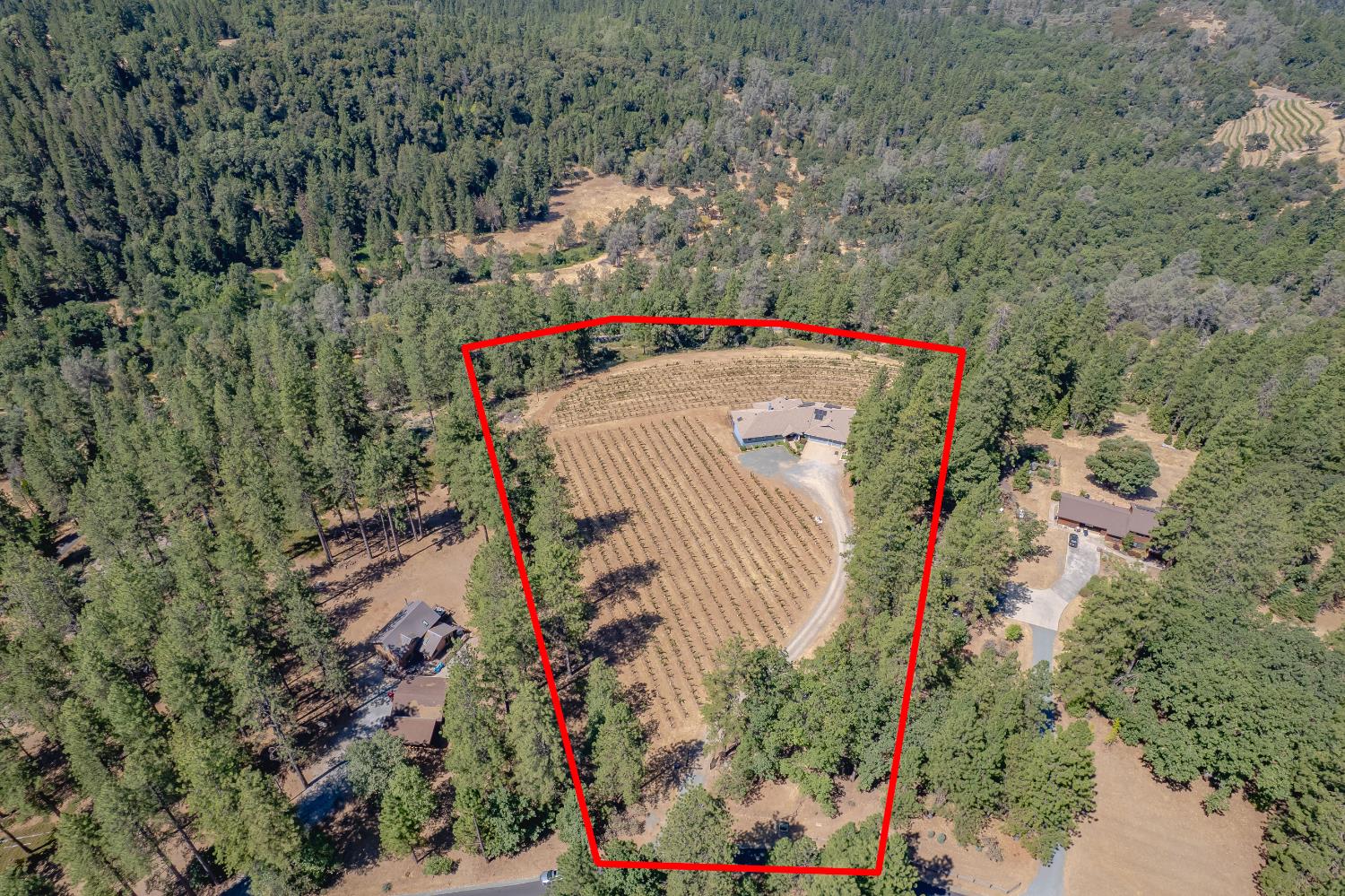 18591 Ponderosa Hills Road Volcano, CA 95689 - Photo 68 of 77