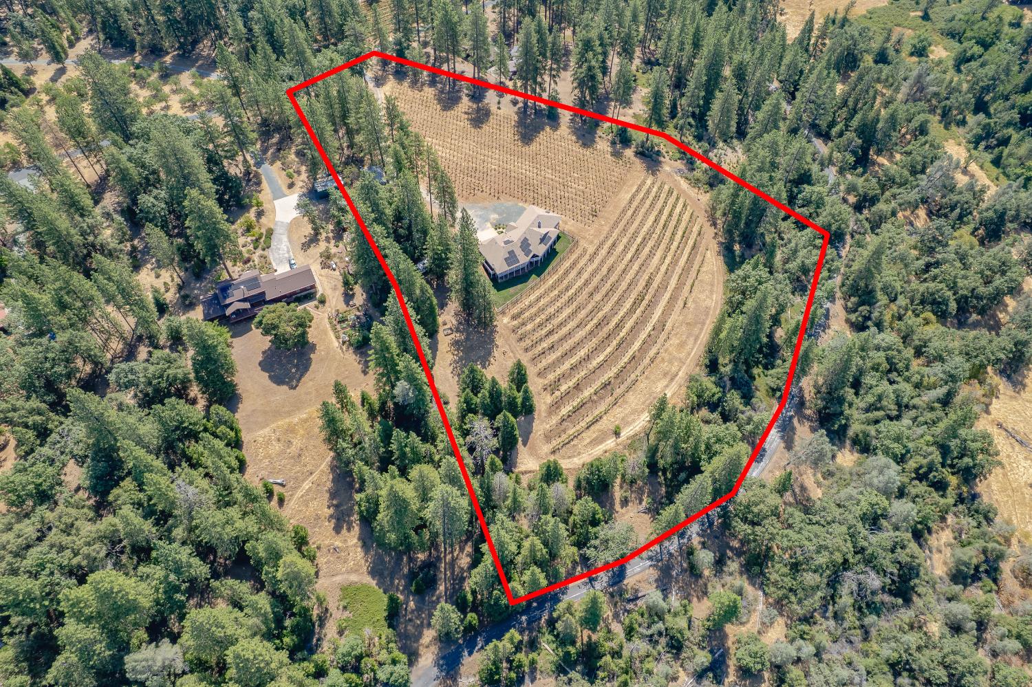 18591 Ponderosa Hills Road Volcano, CA 95689 - Photo 69 of 77